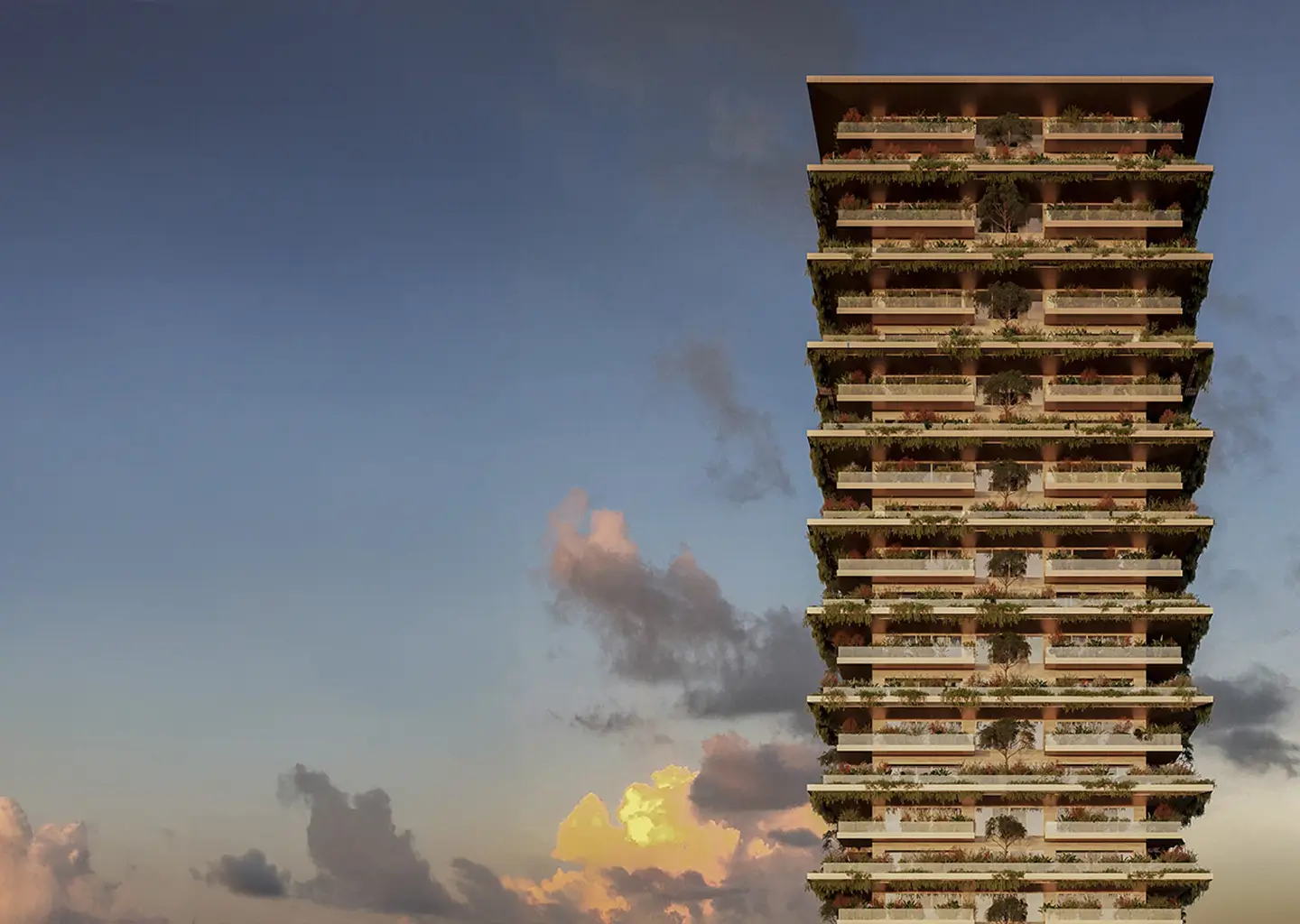 DINE Informe Anual 2024