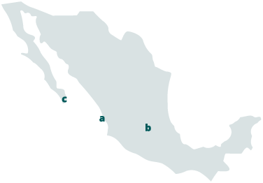 DINE Informe Anual 2024