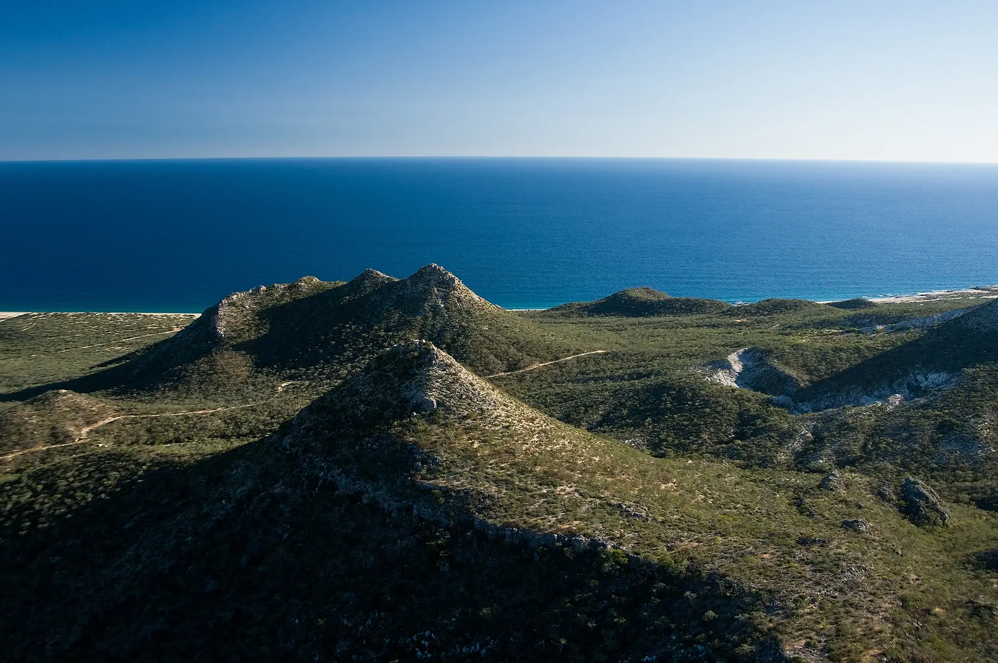 DINE Informe Anual 2024