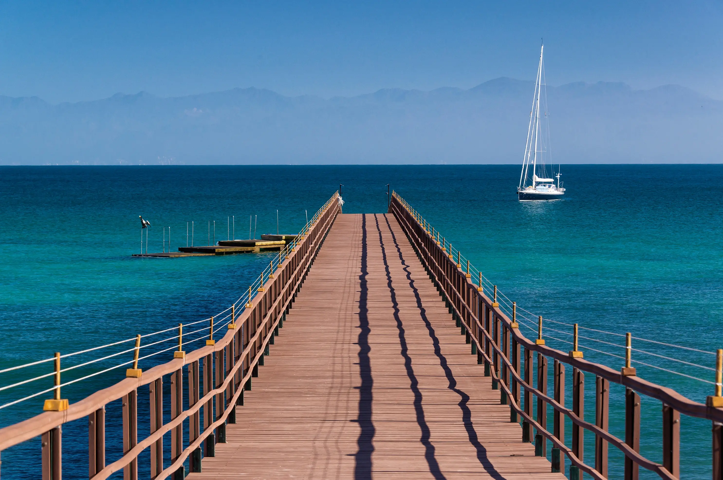 DINE Informe Anual 2024